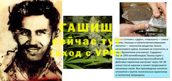 спиды Бородино